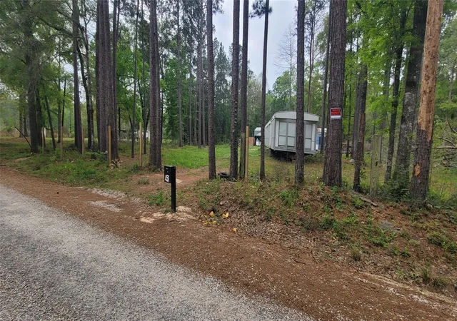 Photo 2 of Land for sale at 451 N Higgins Rd, Shepherd, TX 77371 | MLS# 75115349 | Listing updated on 2026-07-16