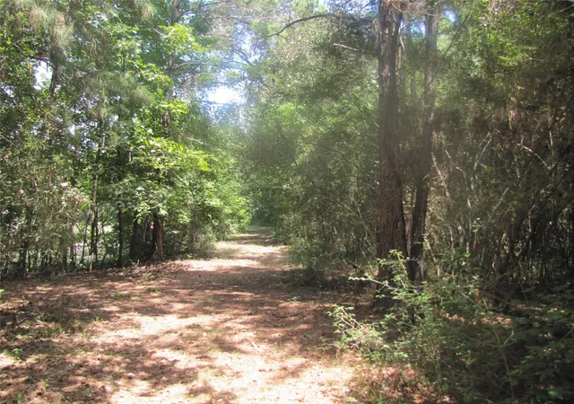 Photo 2 of Land for sale at 000 Tree Farm Rd, Magnolia, TX 77354 | MLS# 47680628 | Listing updated on 2026-08-27