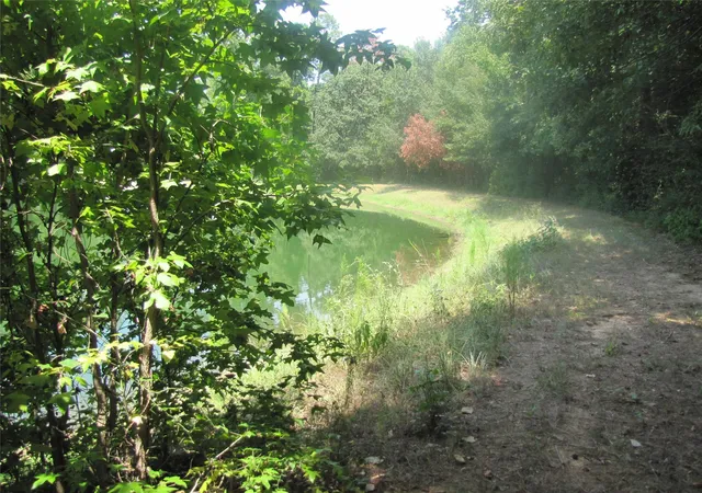 Photo 2 of Land for sale at 000 Tree Farm Rd, Magnolia, TX 77354 | MLS# 47680628 | Listing updated on 2026-08-27