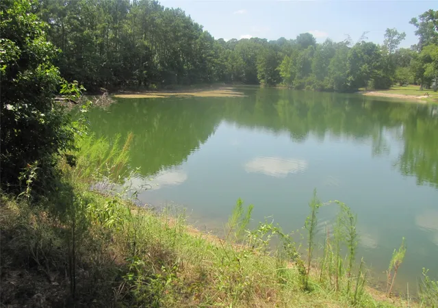 Photo 3 of Land for sale at 000 Tree Farm Rd, Magnolia, TX 77354 | MLS# 47680628 | Listing updated on 2026-08-27