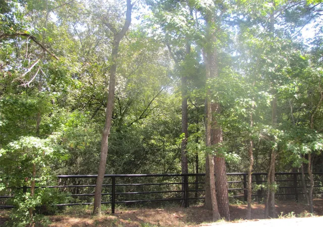 Photo 4 of Land for sale at 000 Tree Farm Rd, Magnolia, TX 77354 | MLS# 47680628 | Listing updated on 2026-08-27