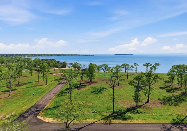 3rd image of Lot 10 Island View Rd, Livingston, TX 77351 | MLS# 74816562