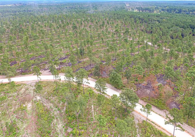 3rd image of 0011 Nelson Dr, Livingston, TX 77351 | MLS# 70572518
