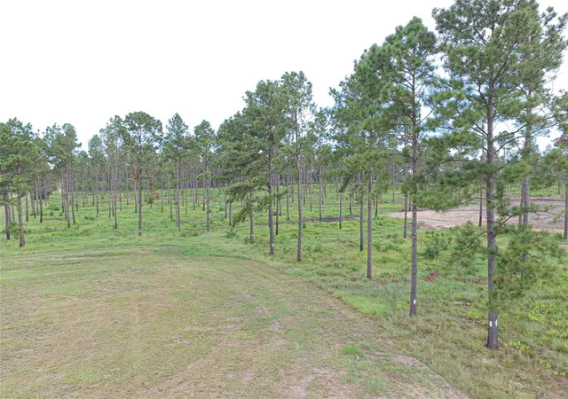 6th image of 0011 Nelson Dr, Livingston, TX 77351 | MLS# 70572518