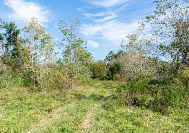 2nd image of Tbd Hwy 36, Jones Creek, TX 77541 | MLS# 41984235
