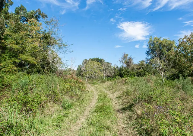 3rd image of Tbd Hwy 36, Jones Creek, TX 77541 | MLS# 41984235