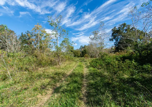 4th image of Tbd Hwy 36, Jones Creek, TX 77541 | MLS# 41984235