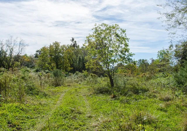 5th image of Tbd Hwy 36, Jones Creek, TX 77541 | MLS# 41984235