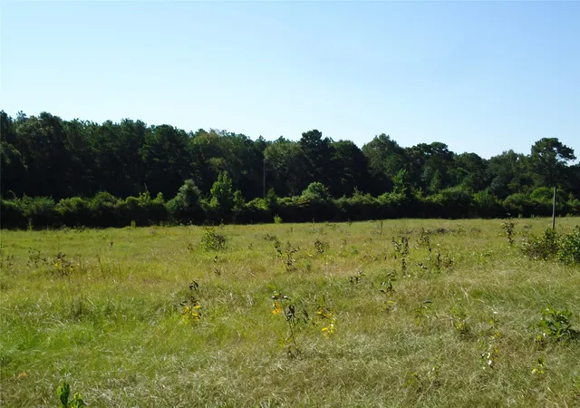 28th image of 788 Fm 2781, Lovelady, TX 75851 | MLS# 88000775