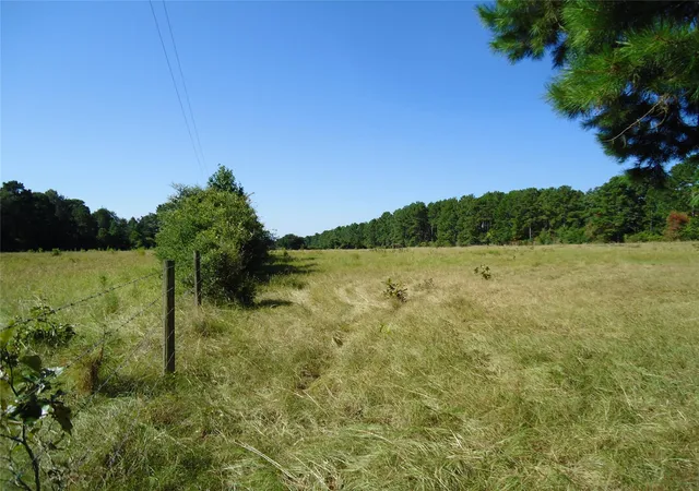 2nd image of 788 Fm 2781, Lovelady, TX 75851 | MLS# 88000775