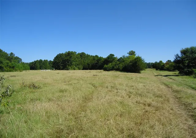 4th image of 788 Fm-2781, Lovelady, TX 75851 | MLS# 88000775