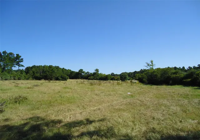 5th image of 788 Fm-2781, Lovelady, TX 75851 | MLS# 88000775