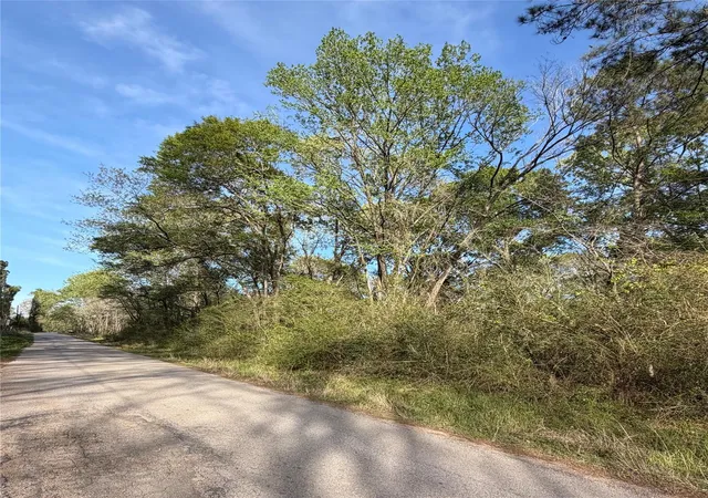 Photo 2 of Land for sale at Tbd Jackson Rd, Coldspring, TX 77331 | MLS# 16409989 | Listing updated on 2026-06-29