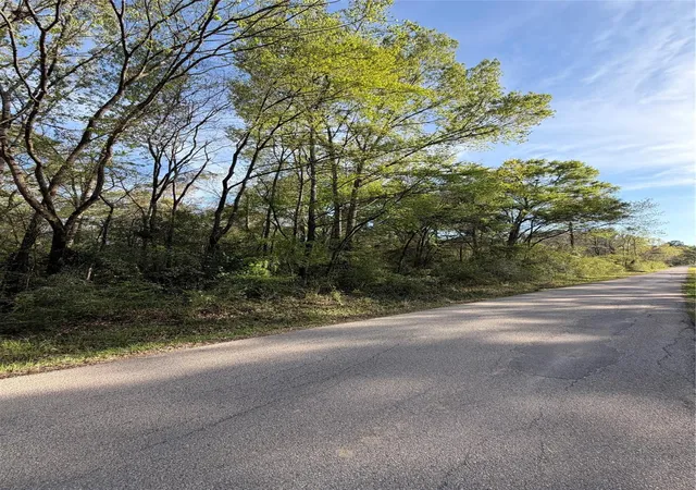Photo 4 of Land for sale at Tbd Jackson Rd, Coldspring, TX 77331 | MLS# 16409989 | Listing updated on 2026-06-29
