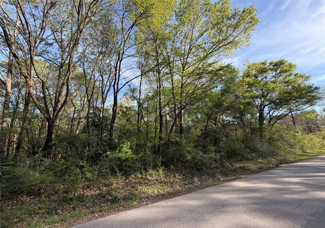 Photo 8 of Land for sale at Tbd Jackson Rd, Coldspring, TX 77331 | MLS# 16409989 | Listing updated on 2026-06-29