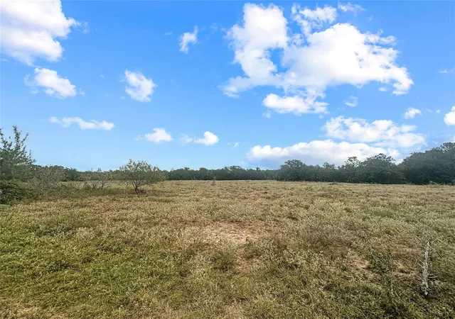 Photo 3 of Land for sale at 1345 Davis Rd, Muldoon, TX 78949 | MLS# 36598383 | Listing updated on 2026-05-19