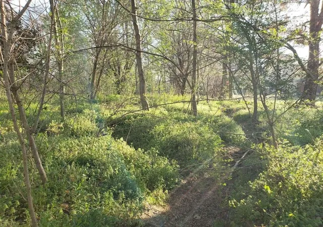 Photo 3 of Land for sale at 0 Longmire Rd, Humboldt, TN 38343 | MLS# 84218420 | Listing updated on 2026-04-23
