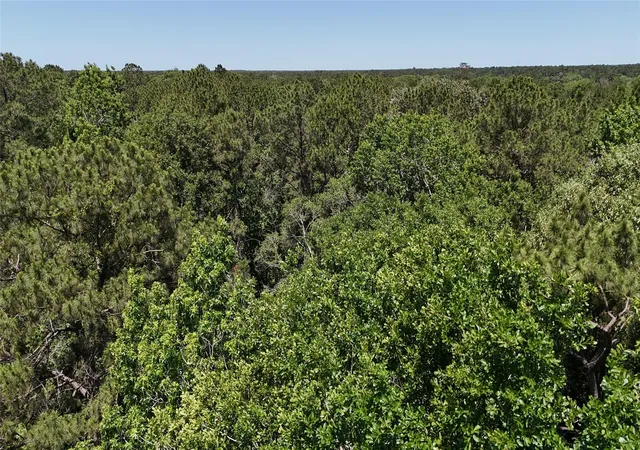 5th image of 200 Hargrave Rd, Huffman, TX 77336 | MLS# 92324081