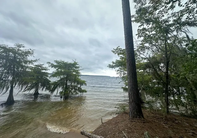 5th image of 45 Arledge Trail/Off Gateway Meadows, Mason, TX 75948 | MLS# 73760946
