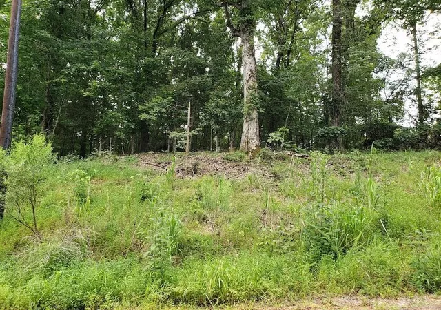 2nd image of 1171 Edgewood Dr, Saulsbury, TN 38067 | MLS# 24958629