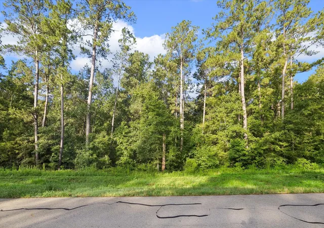 Photo 2 of Land for sale at 00 Sandpiper Dr, Spring, TX 77381 | MLS# 18391646 | Listing updated on 2026-07-20