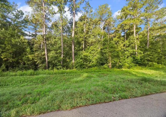 Photo 3 of Land for sale at 00 Sandpiper Dr, Spring, TX 77381 | MLS# 18391646 | Listing updated on 2026-07-20