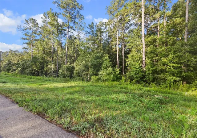 Photo 4 of Land for sale at 00 Sandpiper Dr, Spring, TX 77381 | MLS# 18391646 | Listing updated on 2026-07-20
