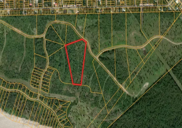 Photo 1 of Land for sale at Tbd Eagle Fls Blvd, Trinity, TX 75862 | MLS# 65491592 | Listing updated on 2026-05-11
