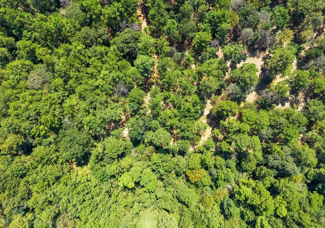 Photo 3 of Land for sale at 3a 16 3a Grand View, Huntsville, TX 77340 | MLS# 41584649 | Listing updated on 2026-08-31