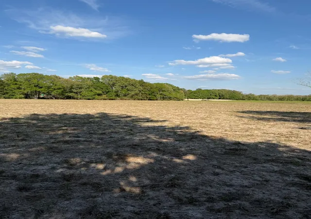 Homes for sale in Lovelady, TX | Tbd N County Road 4050, Lovelady, TX 75851 | MLS# 97629728
