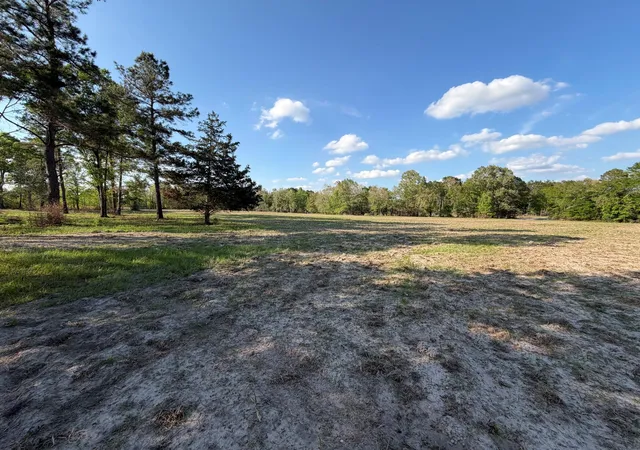 Homes for sale in Lovelady, TX | Tbd N County Road 4050, Lovelady, TX 75851 | MLS# 97629728