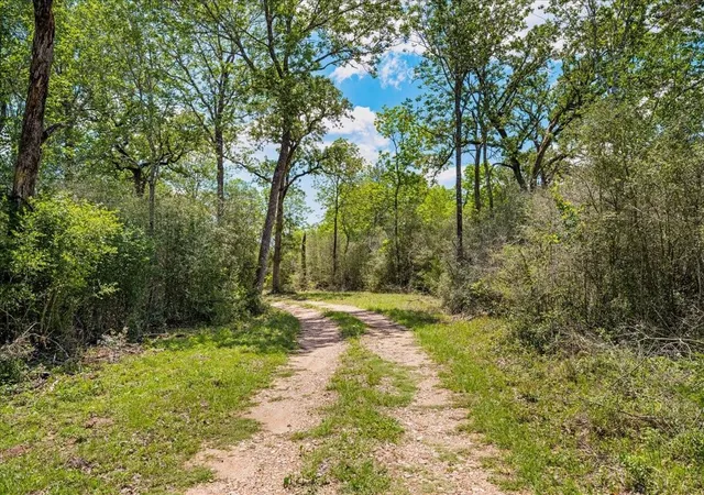 Homes for sale in Fayetteville, TX | 2516 Klimek Rd, Fayetteville, TX 78940 | MLS# 6066349