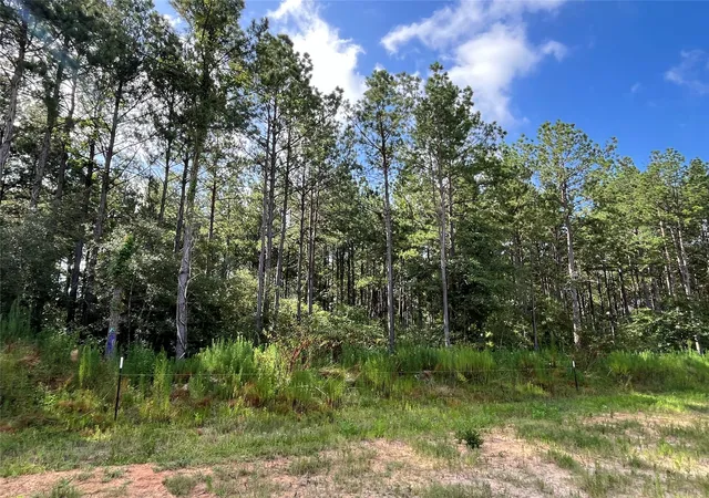 Photo 4 of Land for sale at 15422 Forest Grv Dr, Willis, TX 77378 | MLS# 33548466 | Listing updated on 2026-07-15