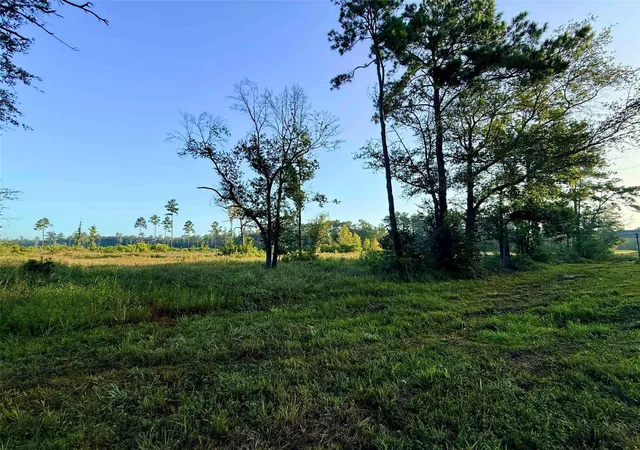 1st image of 000 Fm 1003, Kountze, TX 77625 | MLS# 57079357