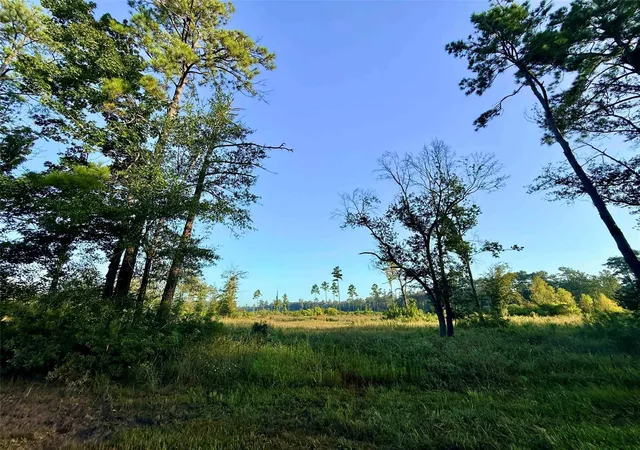 2nd image of 000 Fm 1003, Kountze, TX 77625 | MLS# 57079357
