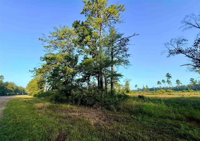 Photo 3 of Land for sale at 000 Fm 1003, Kountze, TX 77625 | MLS# 57079357 | Listing updated on 2026-09-11