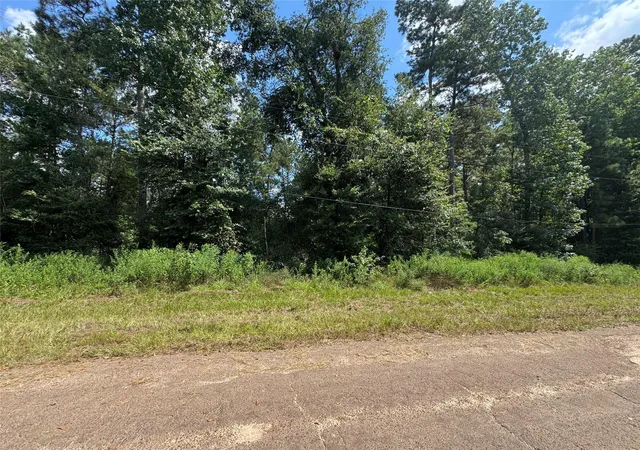Photo 1 of Land for sale at 0 Mcrae Cir, Conroe, TX 77303 | MLS# 5372688 | Listing updated on 2026-04-22