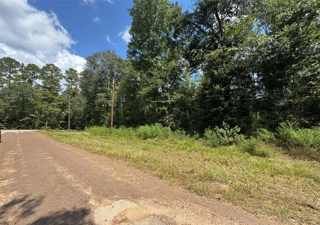 Photo 2 of Land for sale at 0 Mcrae Cir, Conroe, TX 77303 | MLS# 5372688 | Listing updated on 2026-04-22