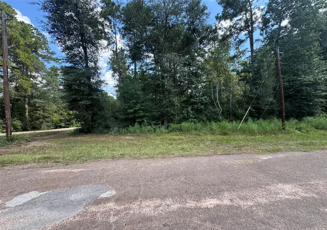 Photo 3 of Land for sale at 0 Mcrae Cir, Conroe, TX 77303 | MLS# 5372688 | Listing updated on 2026-04-22
