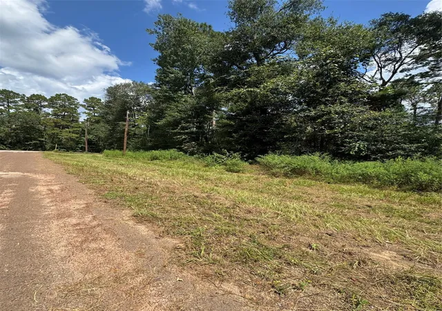 Photo 3 of Land for sale at 0 Mcrae Cir, Conroe, TX 77303 | MLS# 5372688 | Listing updated on 2026-04-22