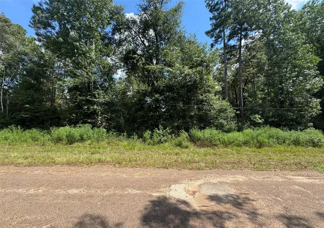 Photo 4 of Land for sale at 0 Mcrae Cir, Conroe, TX 77303 | MLS# 5372688 | Listing updated on 2026-04-22