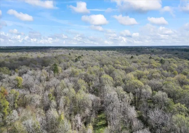 Photo 3 of Land for sale at Tbd County Rd 2601 N Tx, Cleveland, TX 77327 | MLS# 54439361 | Listing updated on 2026-08-01