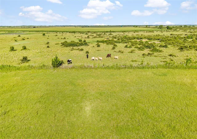 5th image of 00 Cr 311, Louise, TX 77455 | MLS# 16741727