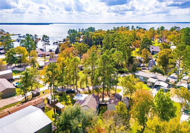 41st image of 217 Brown Ave, Onalaska, TX 77360 | MLS# 96628446