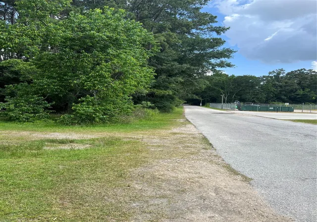 17th image of Tbd Jimima Blvd, New Caney, TX 77357 | MLS# 88403622