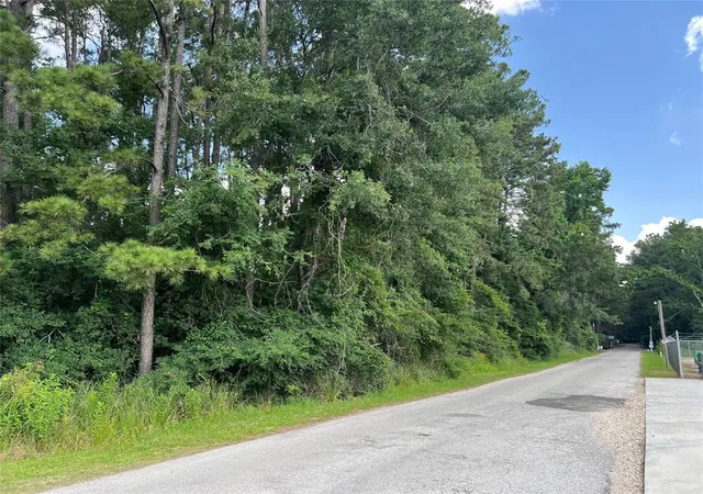 1st image of Tbd Jimima Blvd, New Caney, TX 77357 | MLS# 88403622