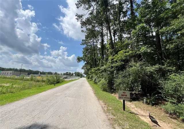 Photo 4 of Land for sale at Tbd Jimina Blvd, New Caney, TX 77357 | MLS# 88403622 | Listing updated on 2026-08-26