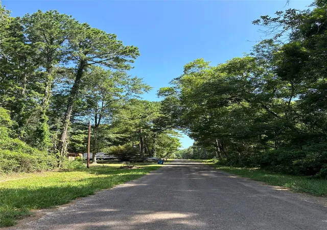 Homes for sale in Willis, TX | 0 Royal Creek Rd, Willis, TX 77303 | MLS# 91766834