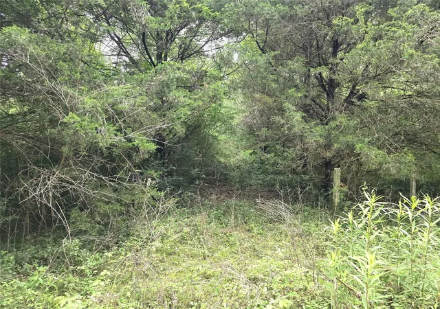Photo 1 of Land for sale at 1069 Conestoga Trl, Livingston, TX 77351 | MLS# 71291088 | Listing updated on 2026-05-09
