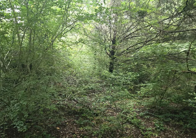 Photo 2 of Land for sale at 1069 Conestoga Trl, Livingston, TX 77351 | MLS# 71291088 | Listing updated on 2026-05-09